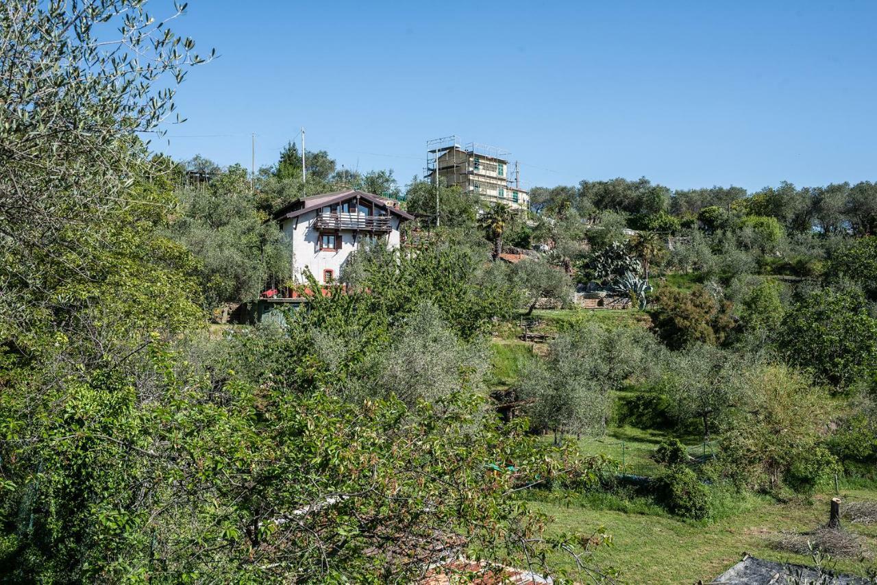 莱里奇La Fattoria Di Nonna Eugenia住宿加早餐旅馆 外观 照片